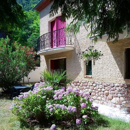 Villa Jardin Thermal: Cozy Apartment near Vernet-les-Bains Spa Exterior photo