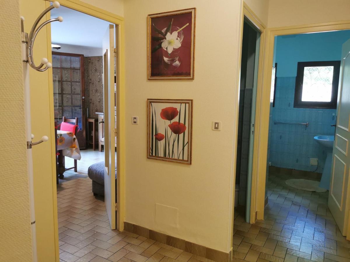 Villa Jardin Thermal: Cozy Apartment near Vernet-les-Bains Spa Exterior photo