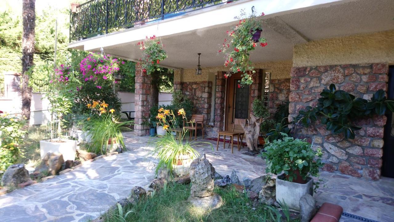 Villa Jardin Thermal: Cozy Apartment near Vernet-les-Bains Spa Exterior photo