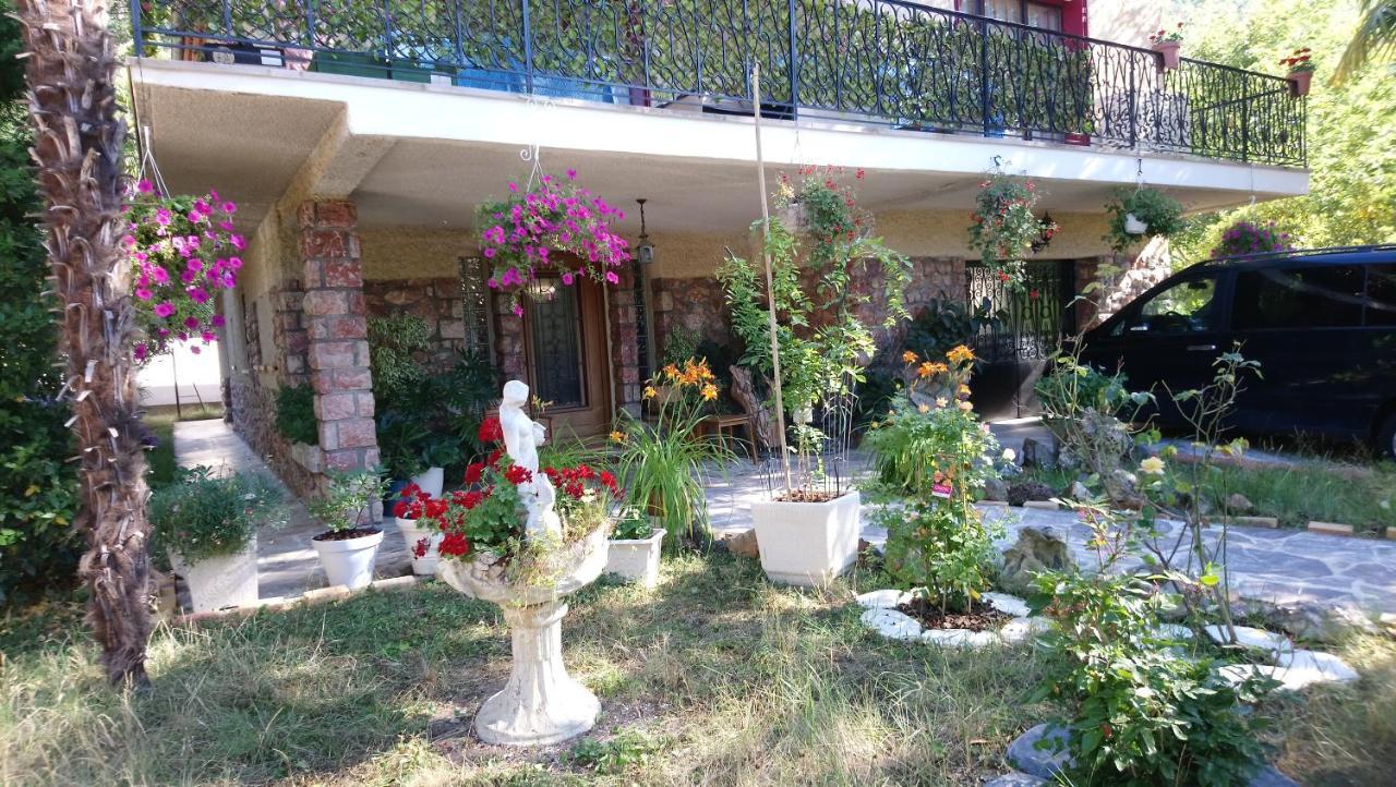Villa Jardin Thermal: Cozy Apartment near Vernet-les-Bains Spa Exterior photo